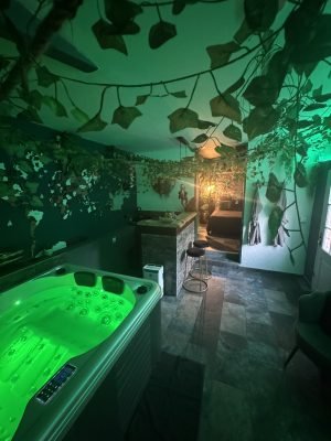 Love room l'Amazone Marseille