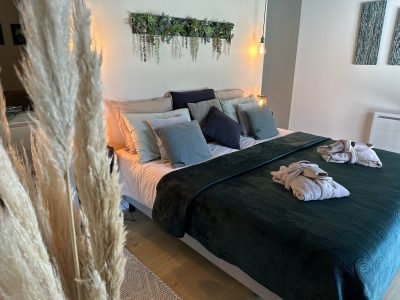 Chambre Silex -Chambres d'hôtes Belle An Pierre & Spa