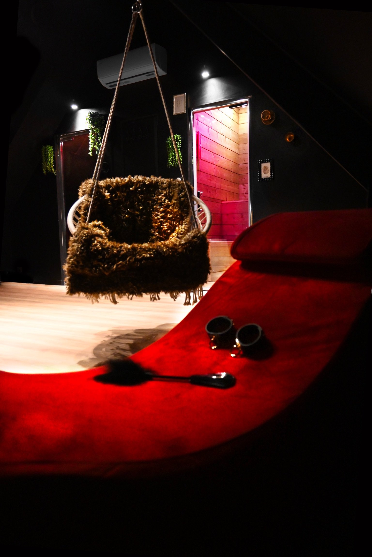 Sainteny Touch vue érotic room