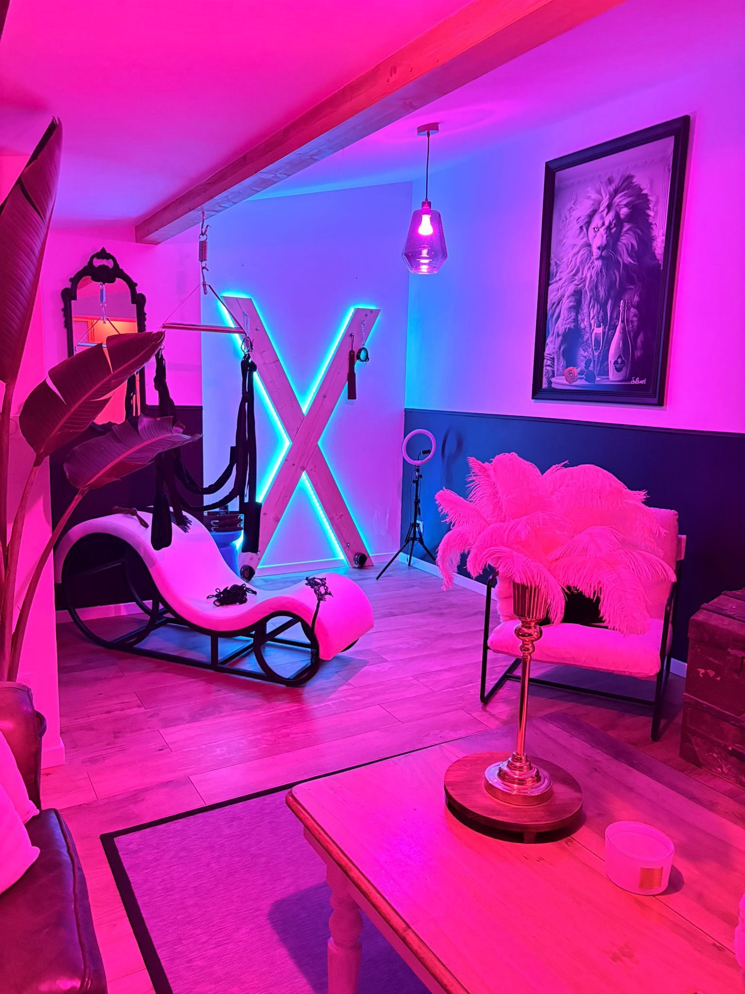 Love room à 15 min de Toulouse - Secret Désir