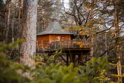 Cabane dans les arbres avec Jacuzzi privatif - Aristoloche