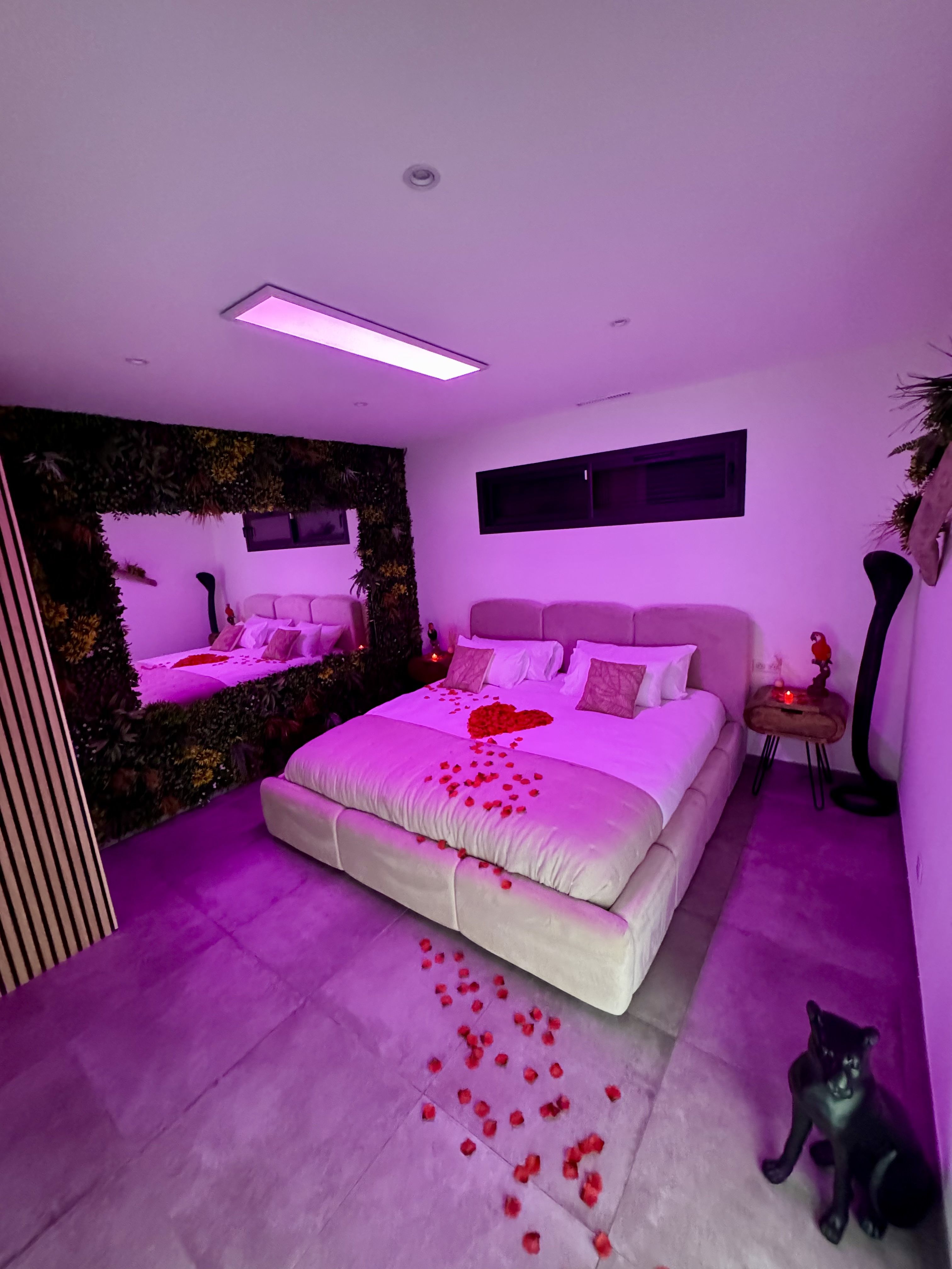 Suite romantique Rêve d’Amazonie dans le Gard